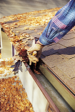 Gutter Cleaning