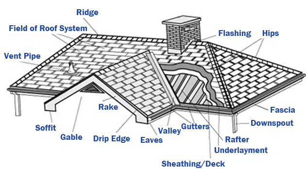 A diagram of parts of a roof in black and pointing terms in blue text 