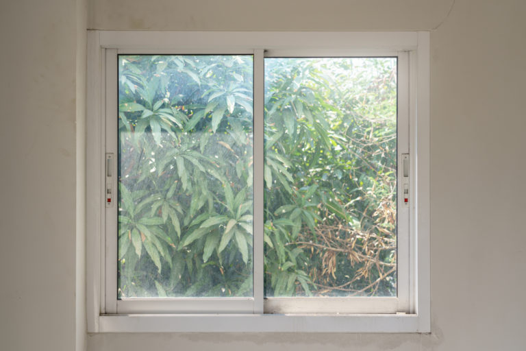 Sliding glass window that looks out to the mango tree