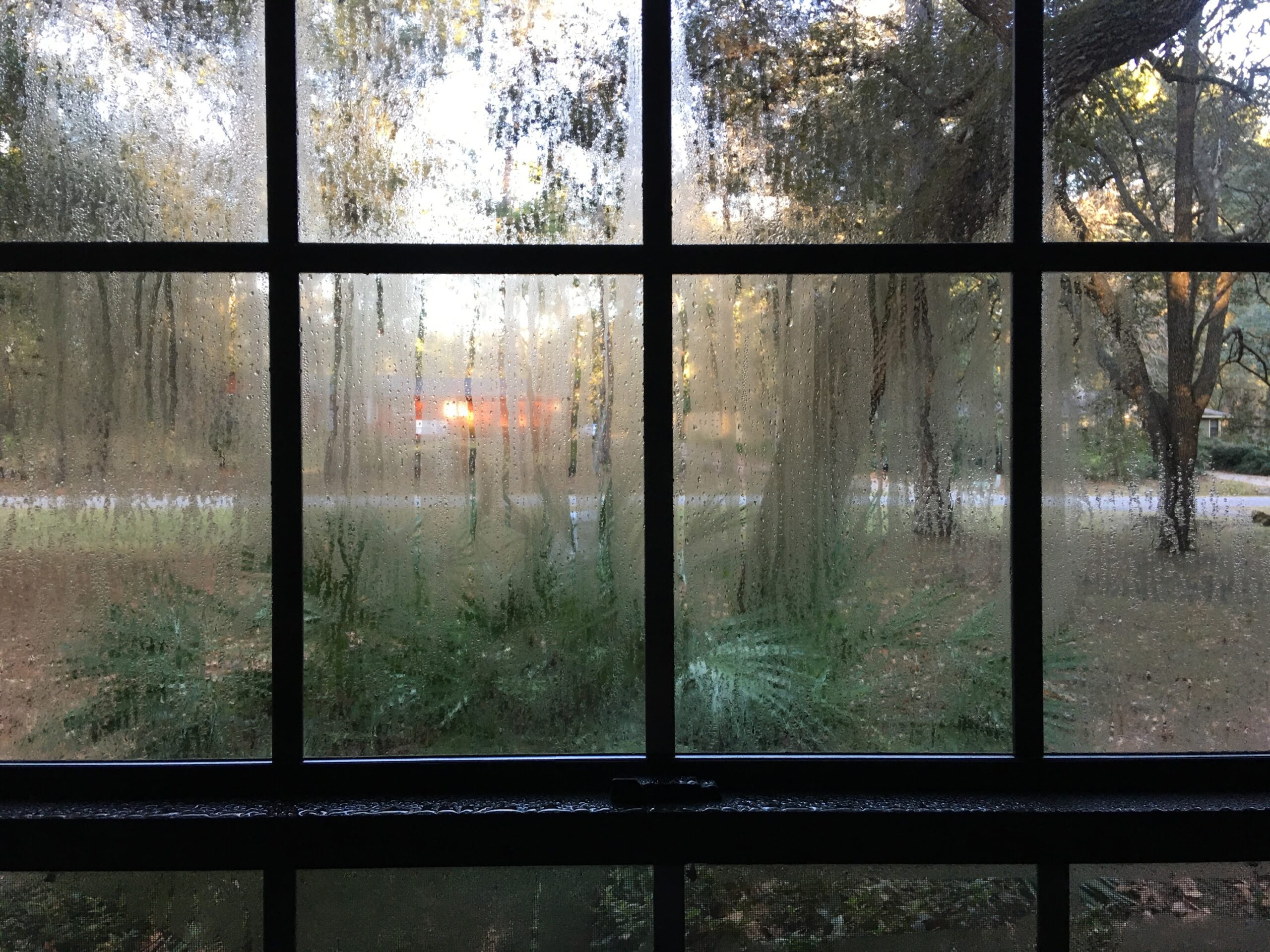 foggy window